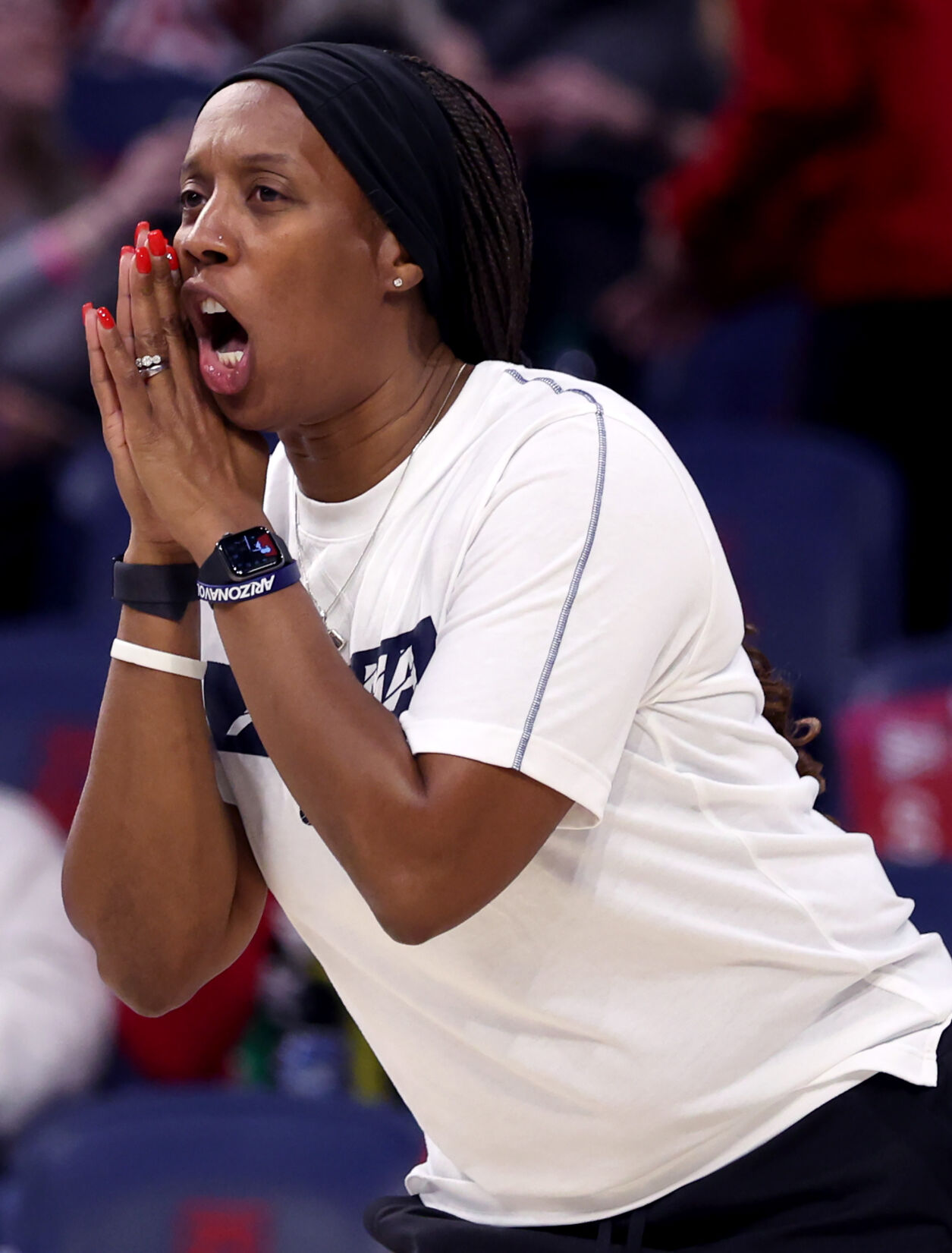 Arizona vs Northern Colorado, Fab Four NIVC
